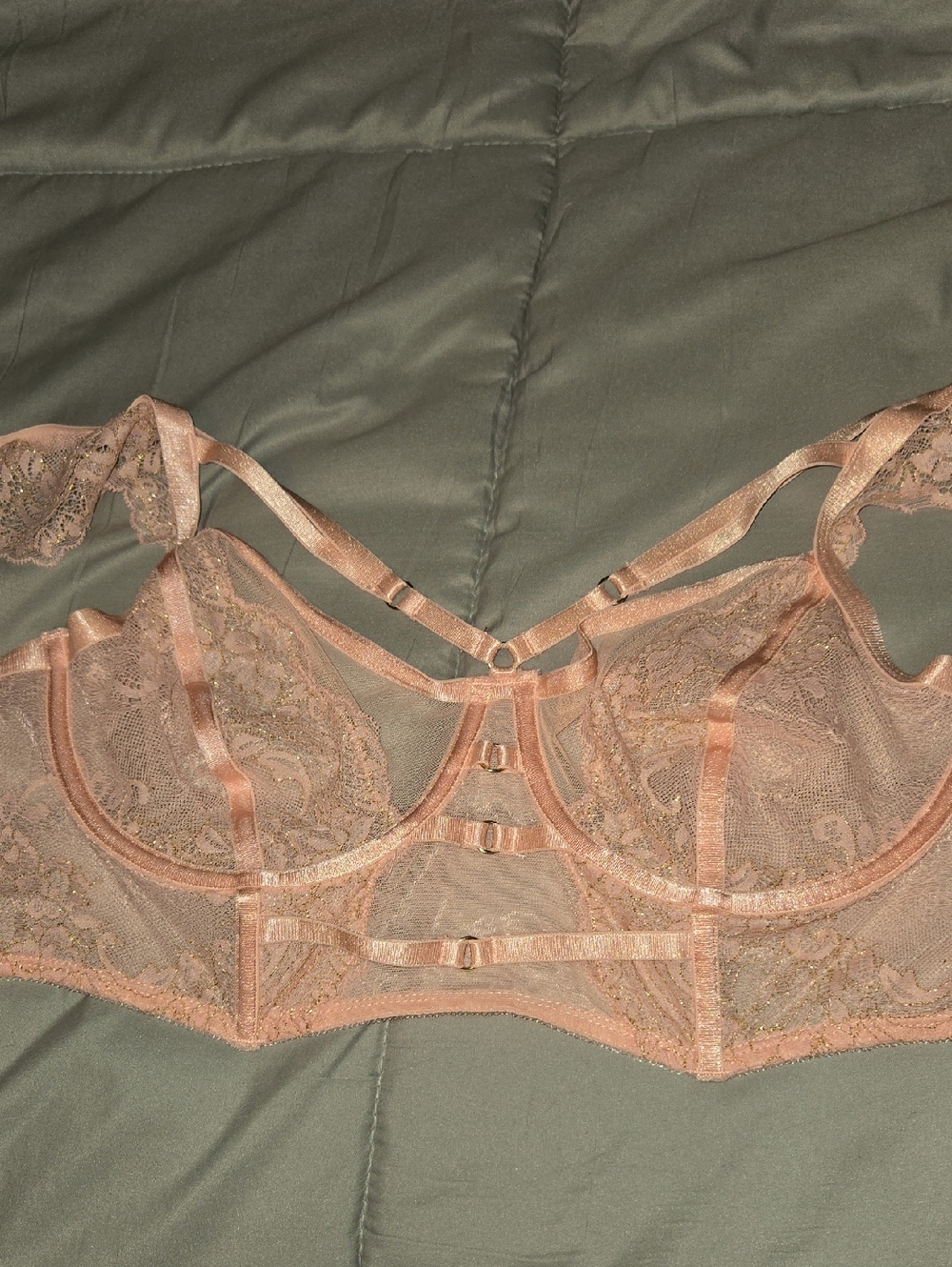 Sheer Lace Underwire Bra in Blush - Feminine Support
